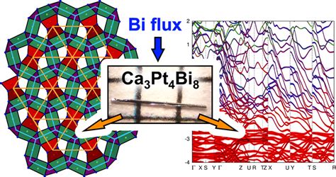 Gelatin Biomaterial: Exploring Its Remarkable Properties and Versatile Applications in Tissue Engineering and Drug Delivery!